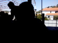 /album/galeria-de-fotos-pagina-inicial/img-20150307-140533-jpg/